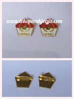 pin silver, pin dprd, pin korpri, pin air lines, pin bintang